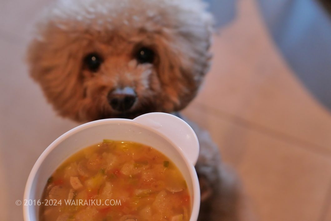 Rakuten STAY TERRACE 箱根小涌谷 ペットフレンドリールーム 朝食