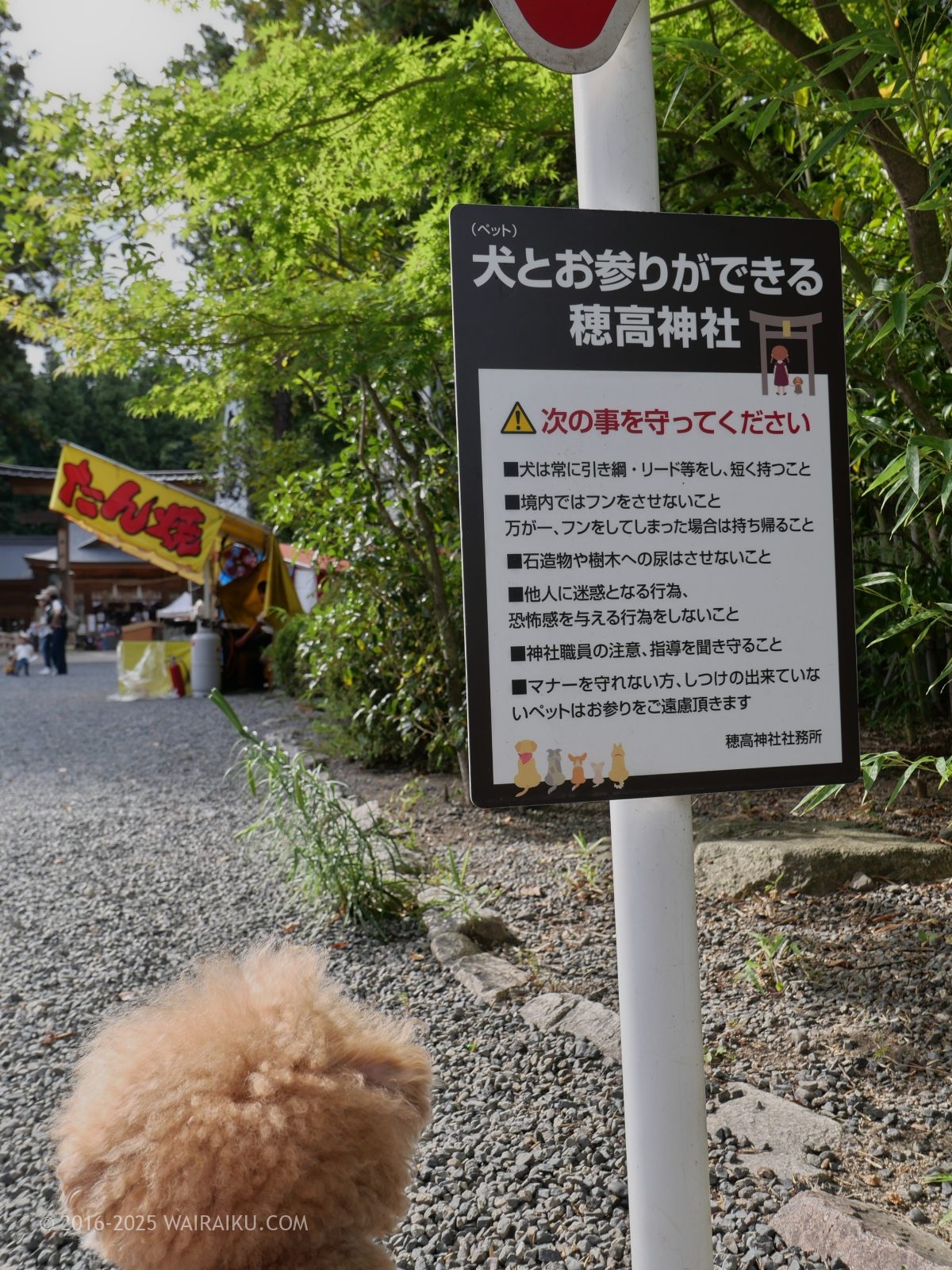 穂高神社