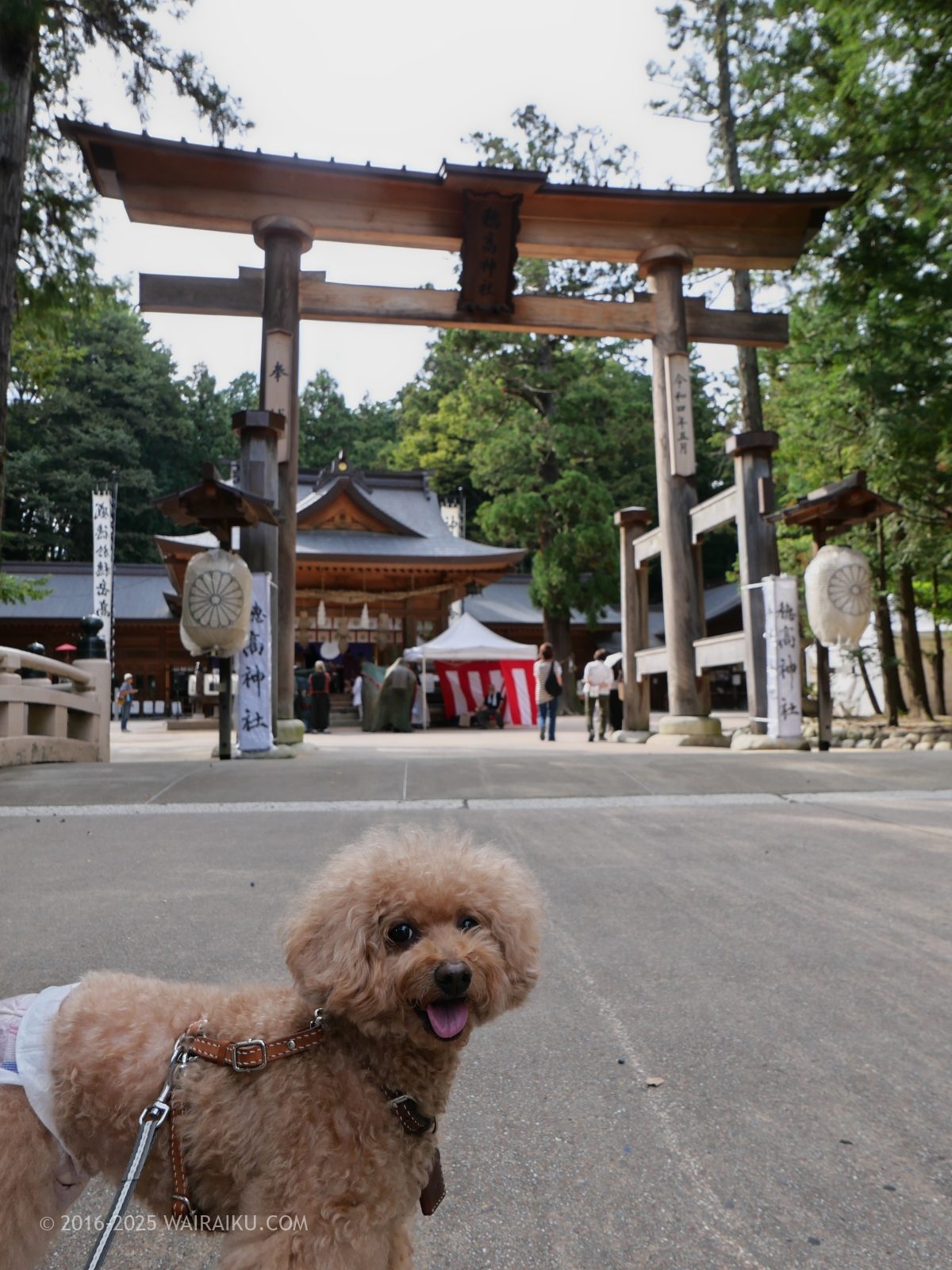 穂高神社
