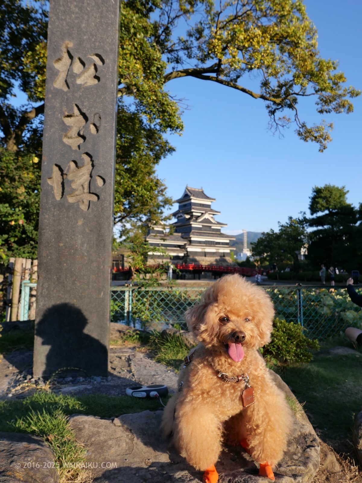 松本城