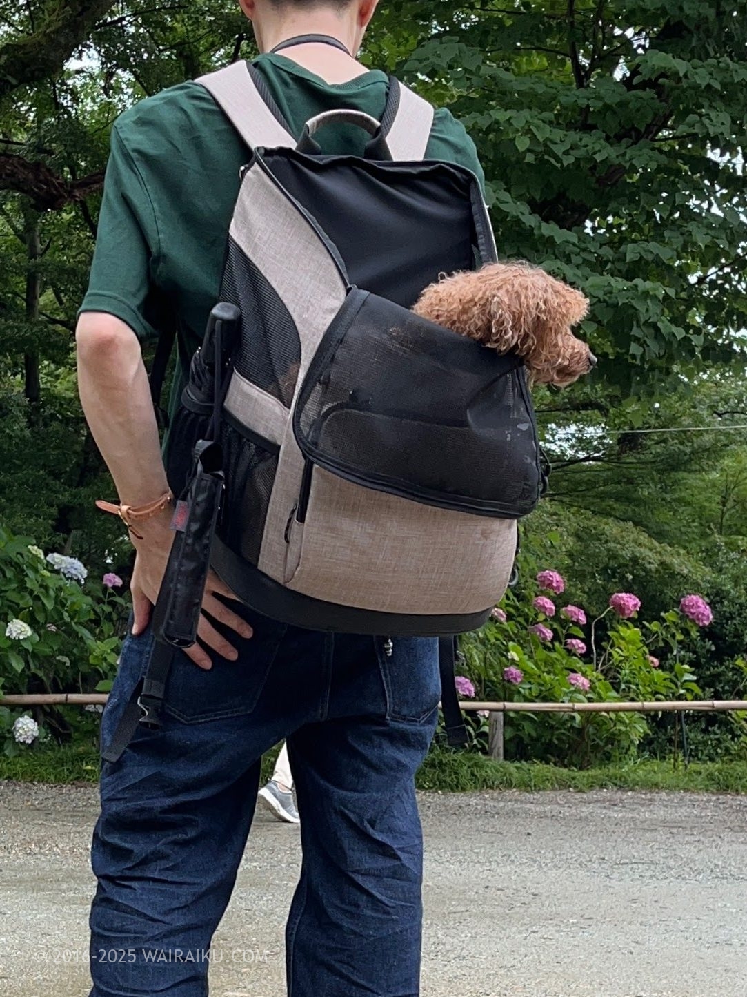 エアバギー3ウェイバックパックキャリア ペットリュック　購入　レビュー
