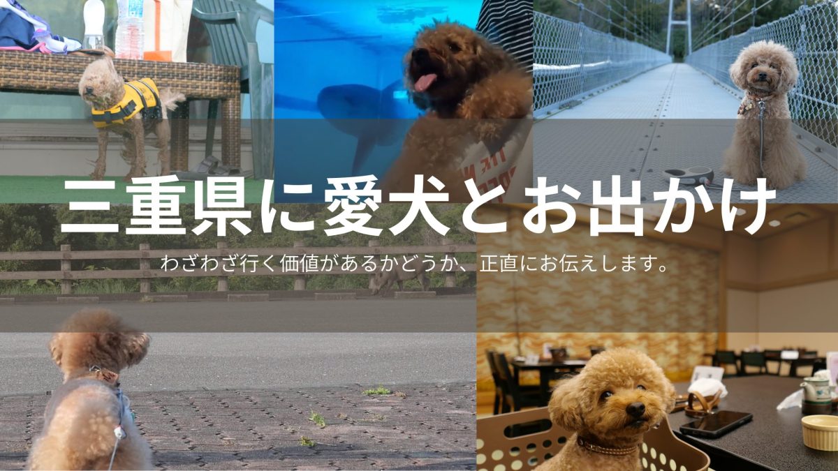 三重県に愛犬とお出かけ！わざわざ行く価値あるお出かけスポット！