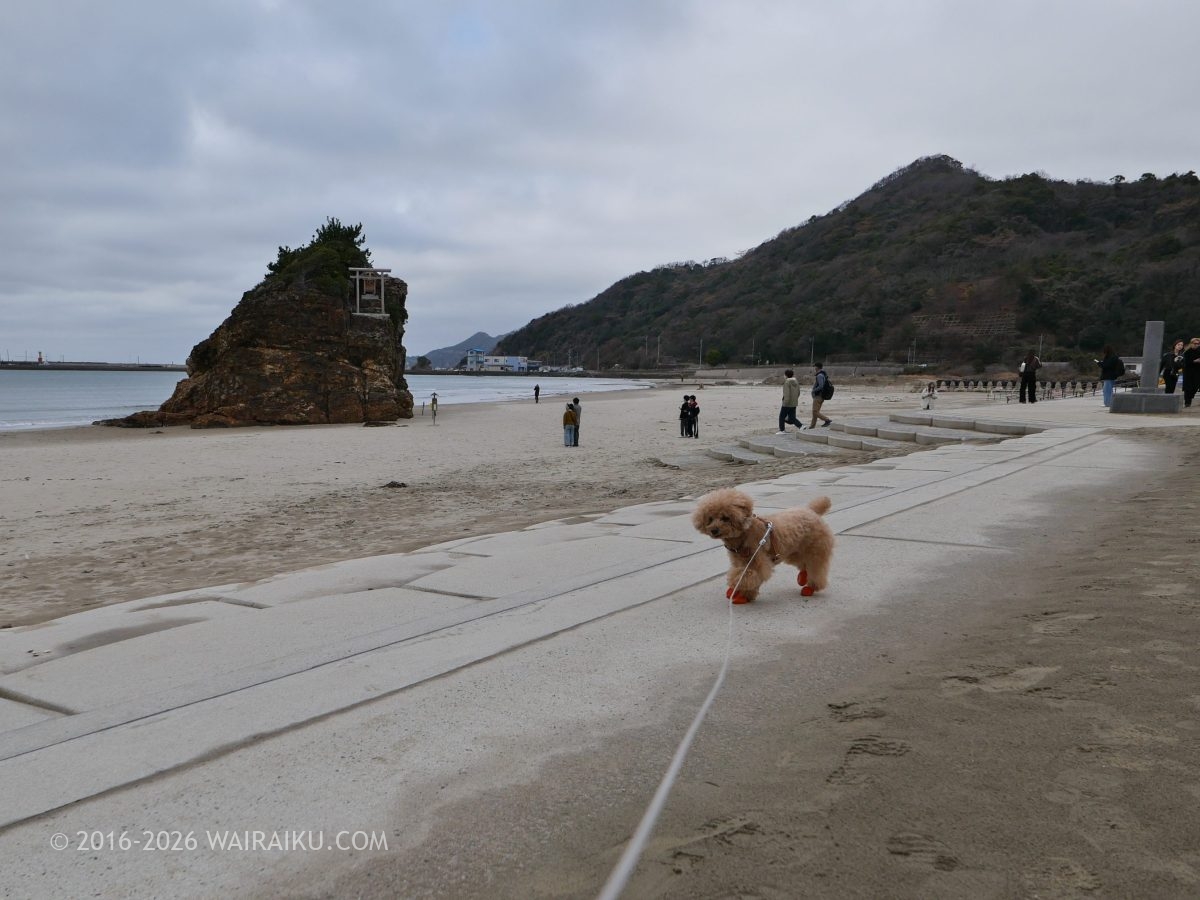 稲佐の浜で愛犬も一緒にお砂とり