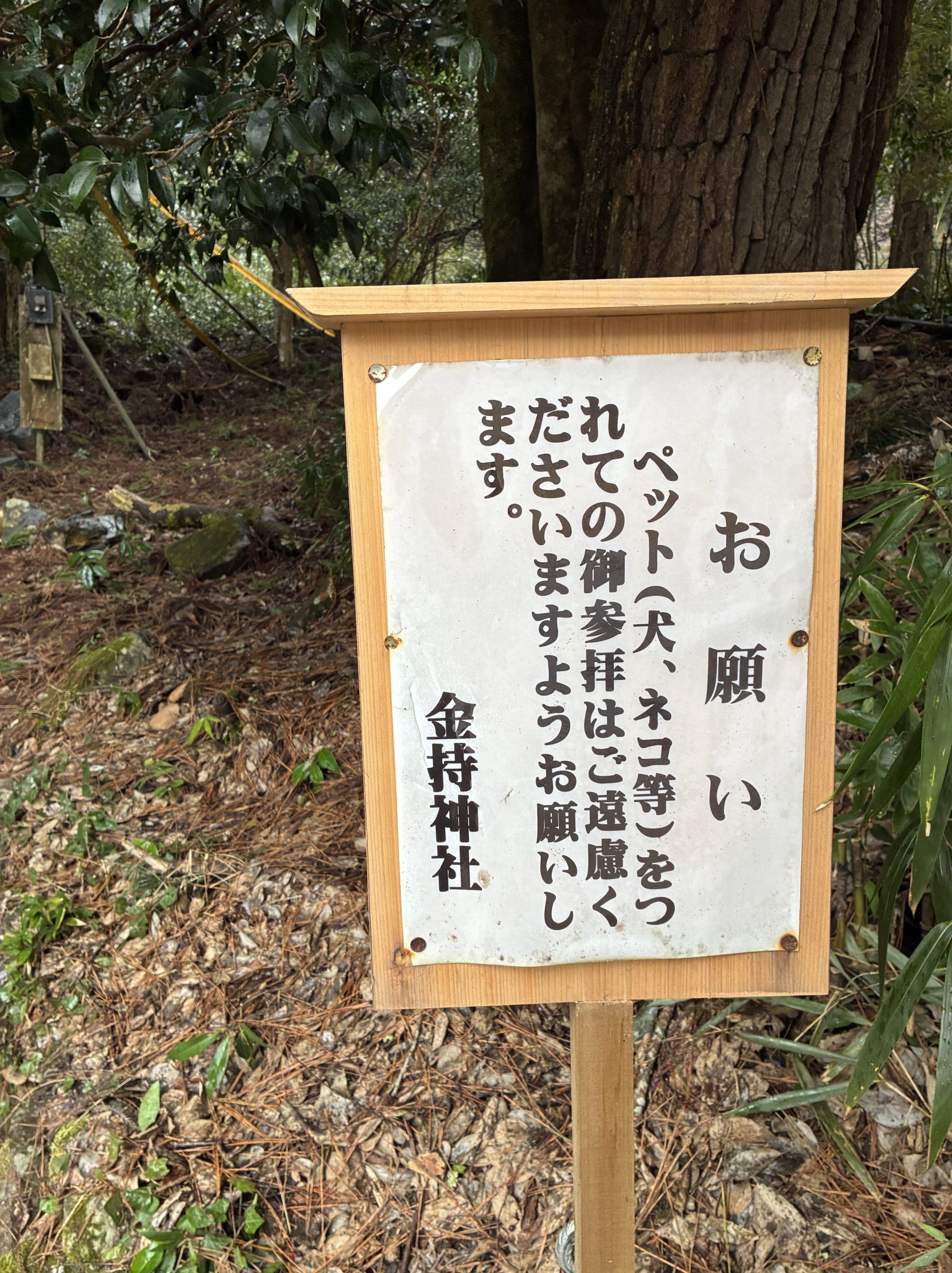 金持神社はペット禁止