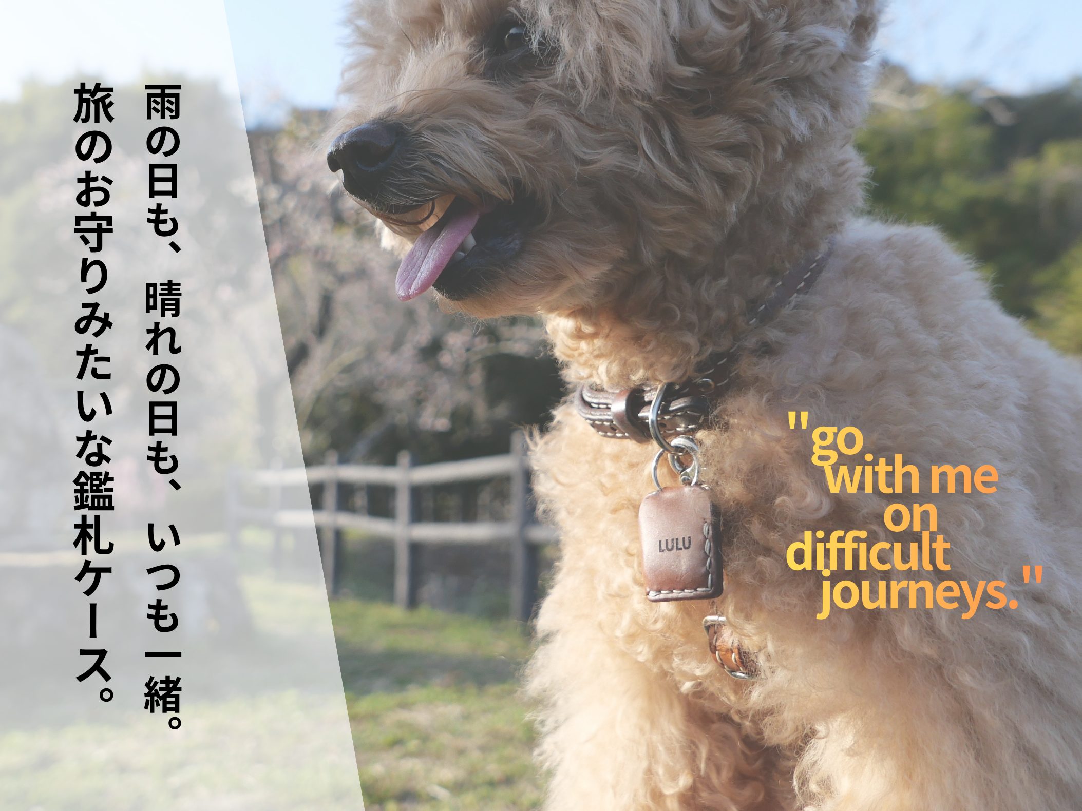 WAIRAIKU　お守りみたいな鑑札ケースイメージ画像