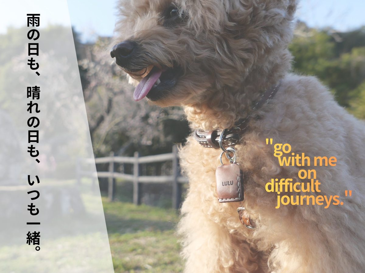 WAIRAIKU　お守りみたいな鑑札ケースイメージ画像