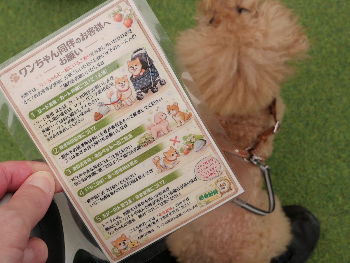 高野いちご園　ワンちゃん同伴のお客様へのお願い