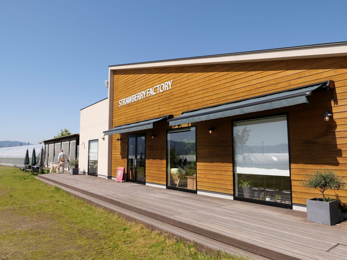 STRAWBERRY FACTORY　外観